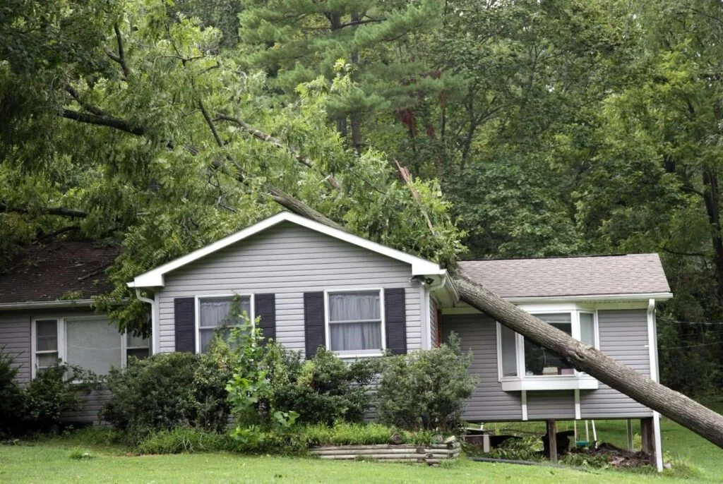 4 Reasons Your Roof is Deteriorating